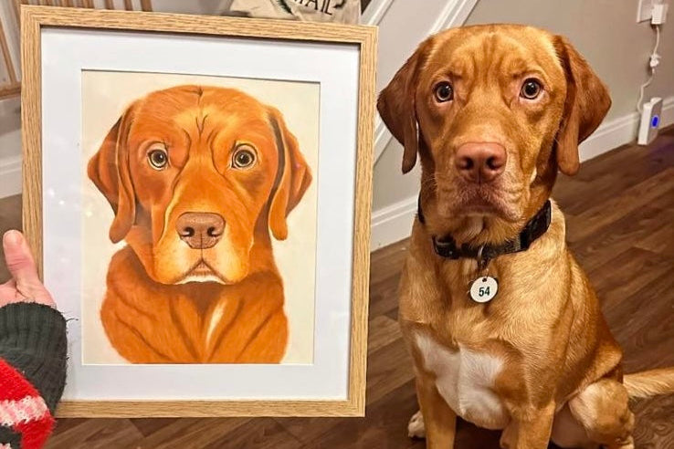 red Labrador sitting next to realistic pet portrait drawn in pastels