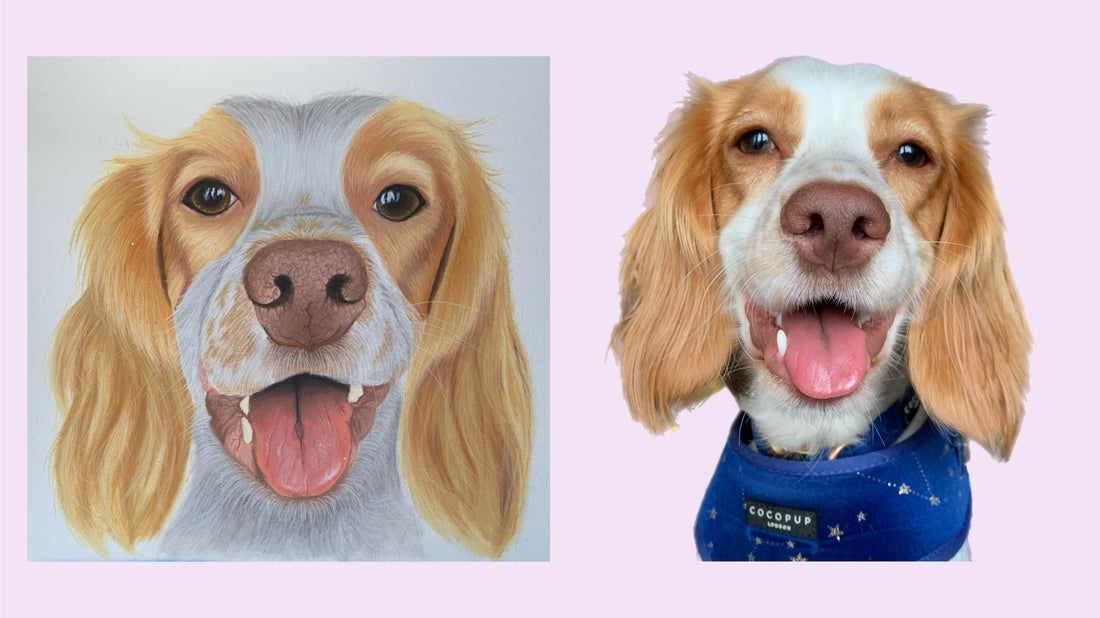 How to Take the Perfect Pet Portrait Reference Photo