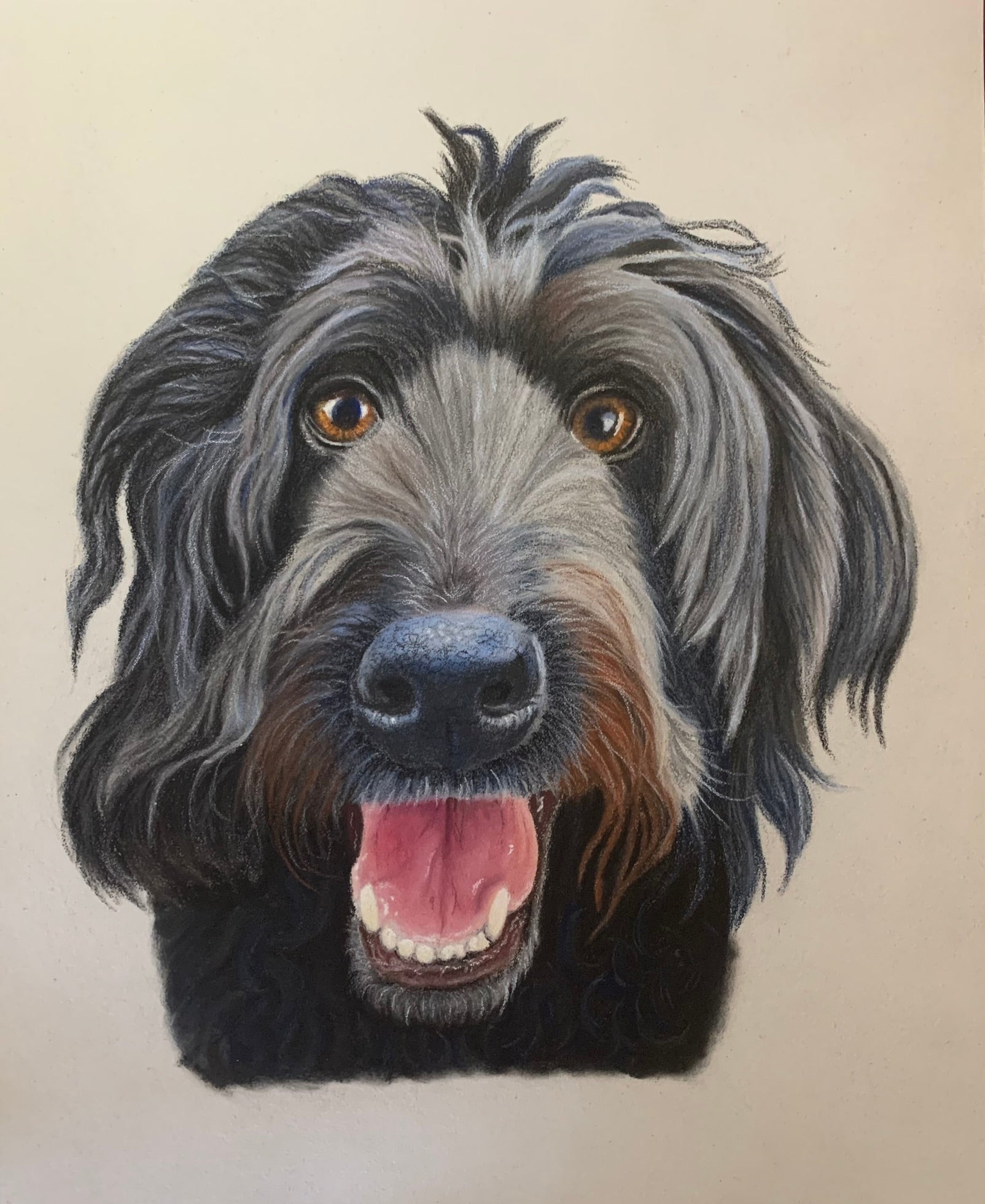 Hand drawn pet portrait of a black labradoodle
