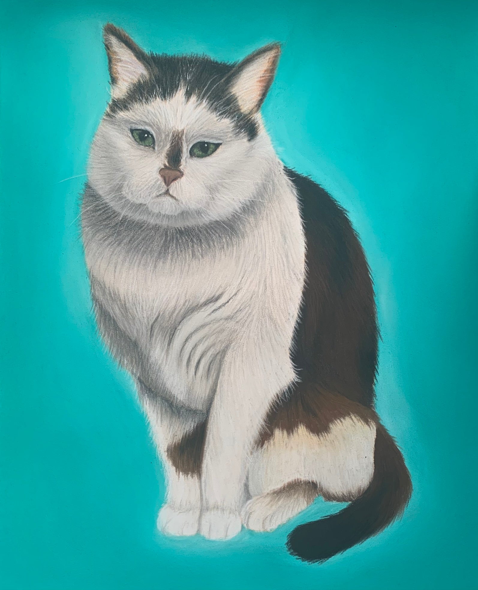 Pastel pet portrait of a black and white cat sitting against bright green background