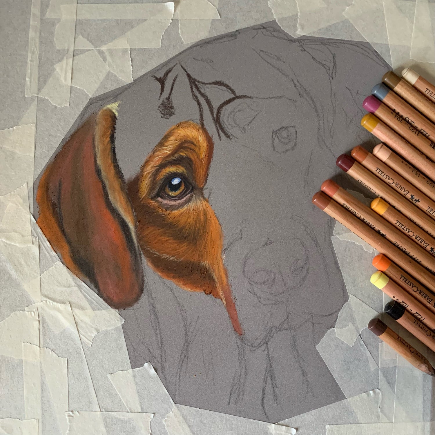 Rhodesian Ridgeback pastel drawing, realistic pet portrait