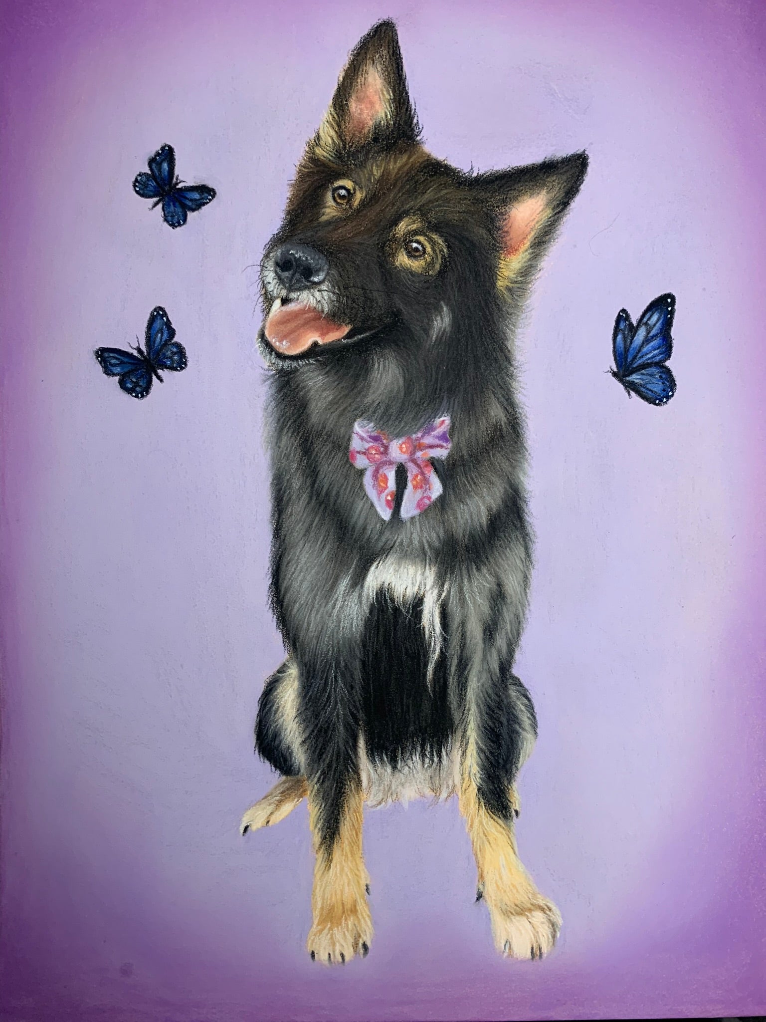 pastel drawing of German shepherd with bow tie, surrounded by butterflies on lilac background