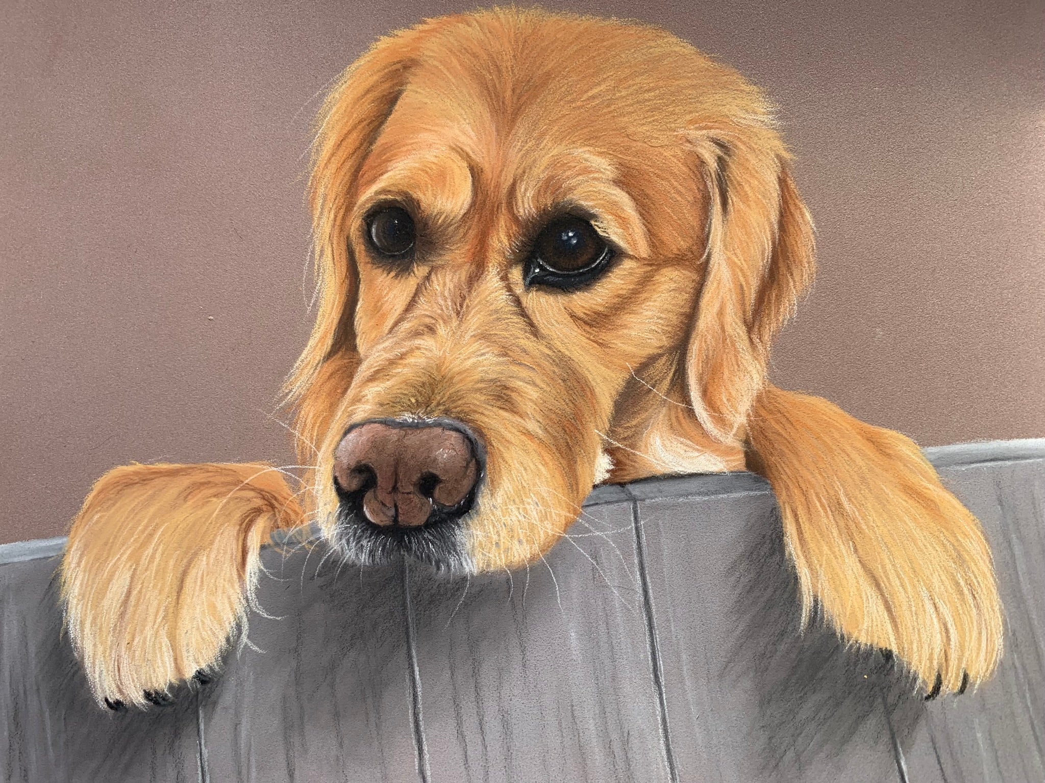 Hand Drawn Pastel Pet Portrait of Peeking Golden Retriever 