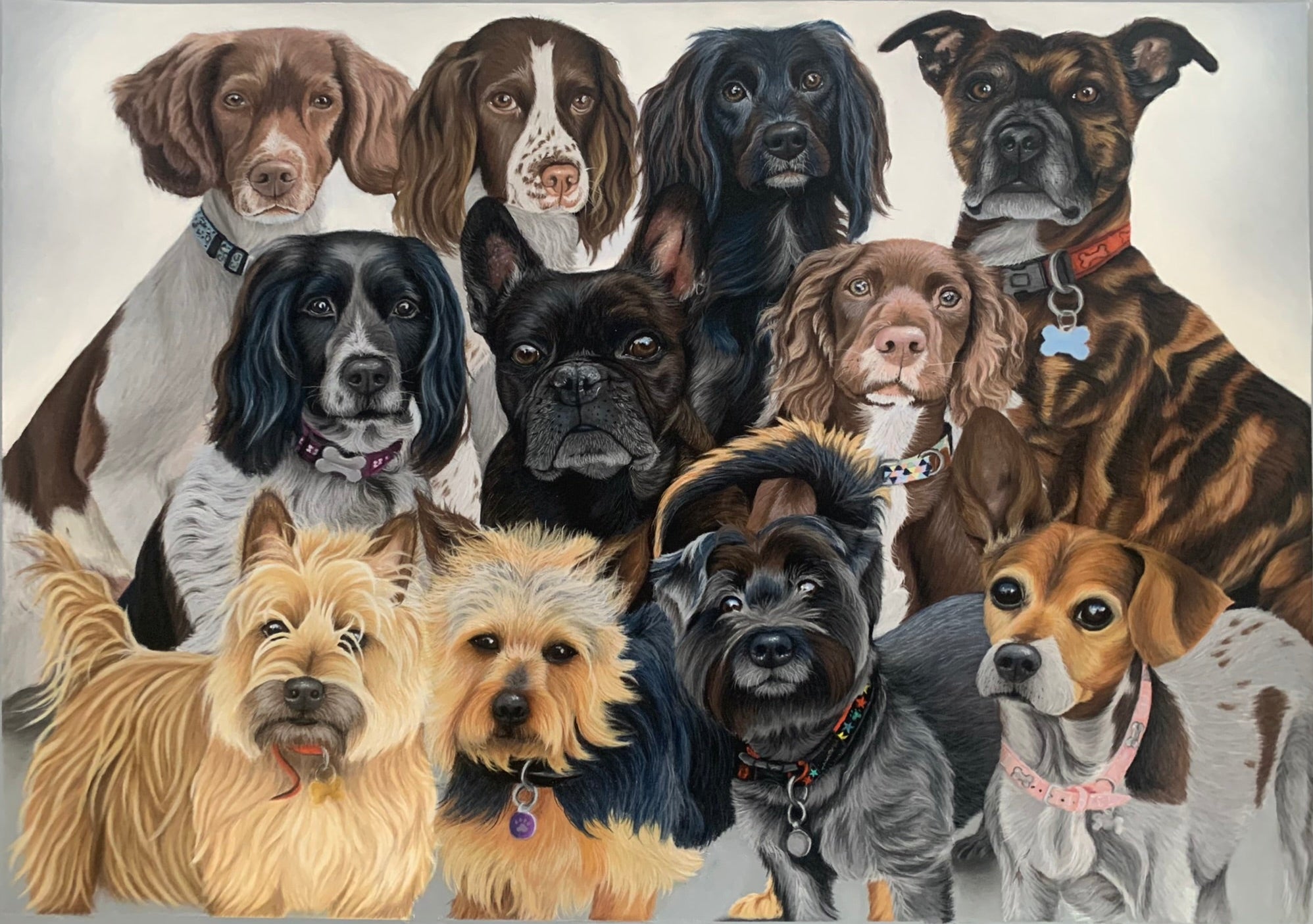 Realistic pastel drawing of a group of dogs with various breeds and colors on a light gray background