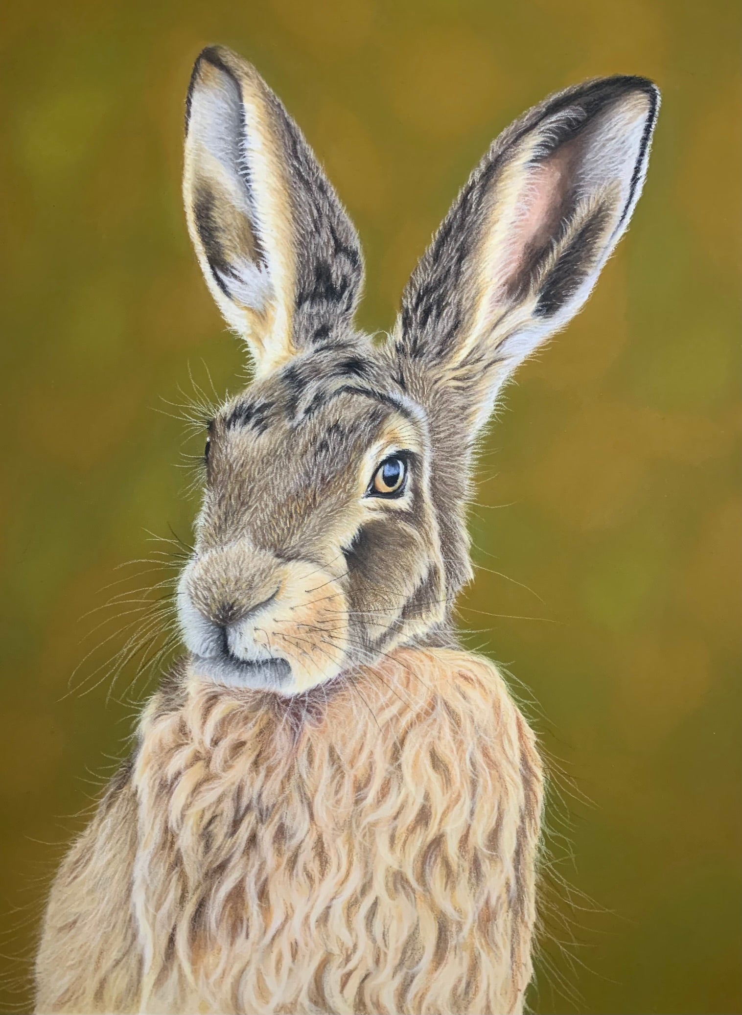 Brown hare realistic pastel drawing on blurred green woodland inspired background