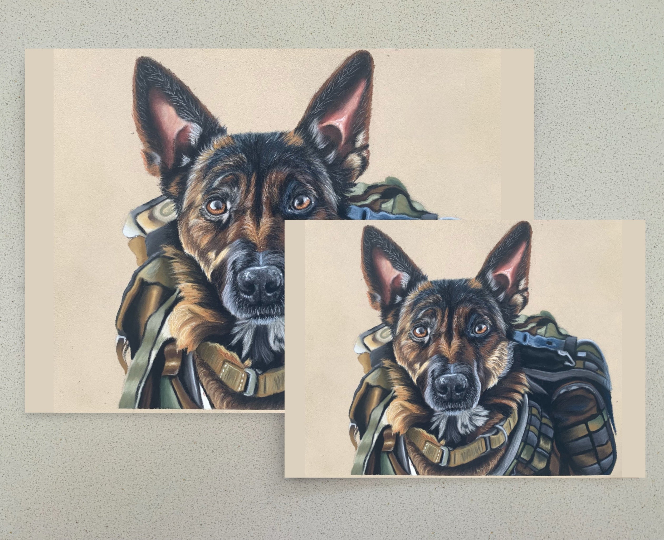 Two greeting cards with a Belgian Malinois in military uniform