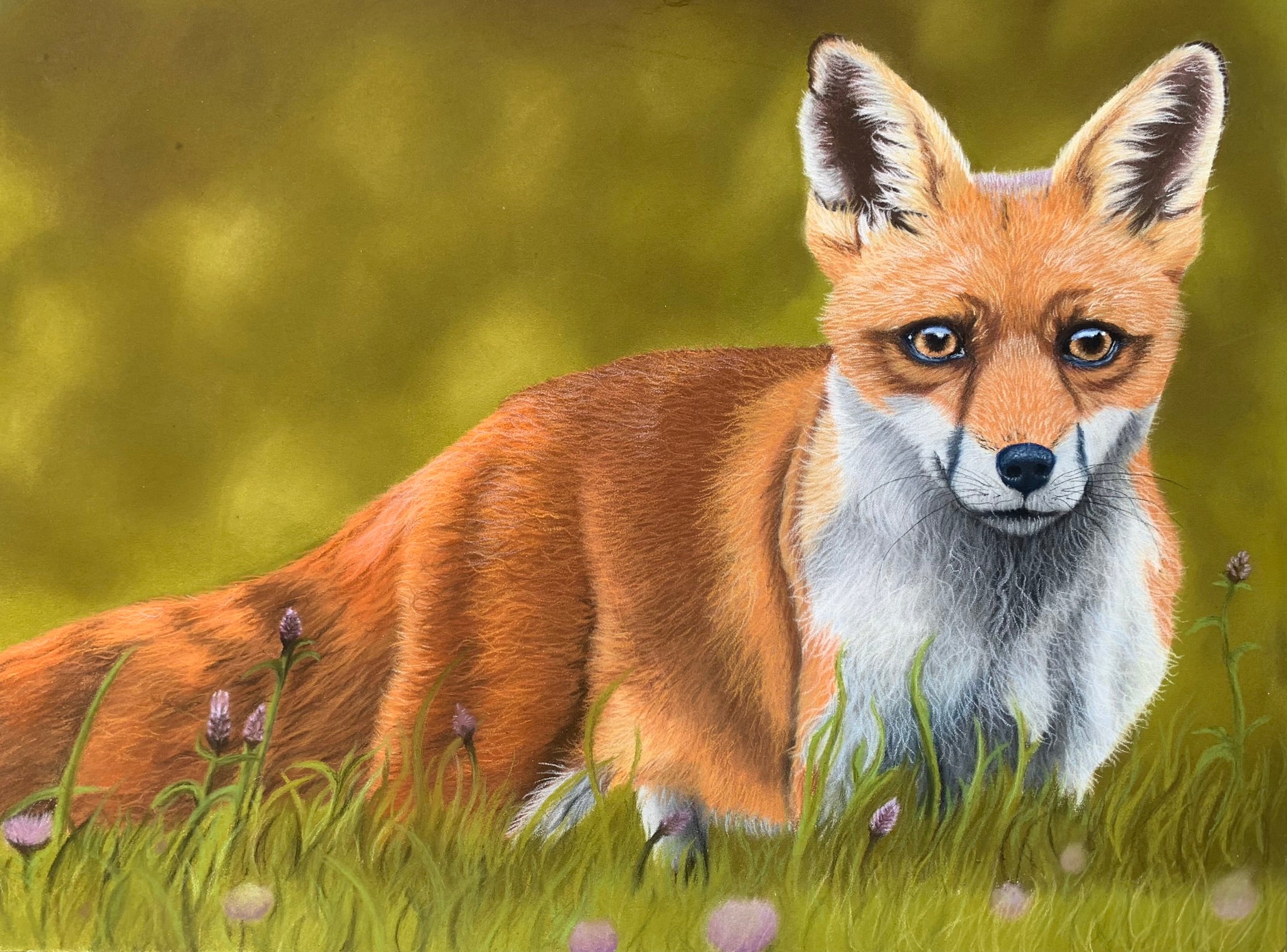 Realistic pastel painting of a fox standing in long grass with a woodland inspired background