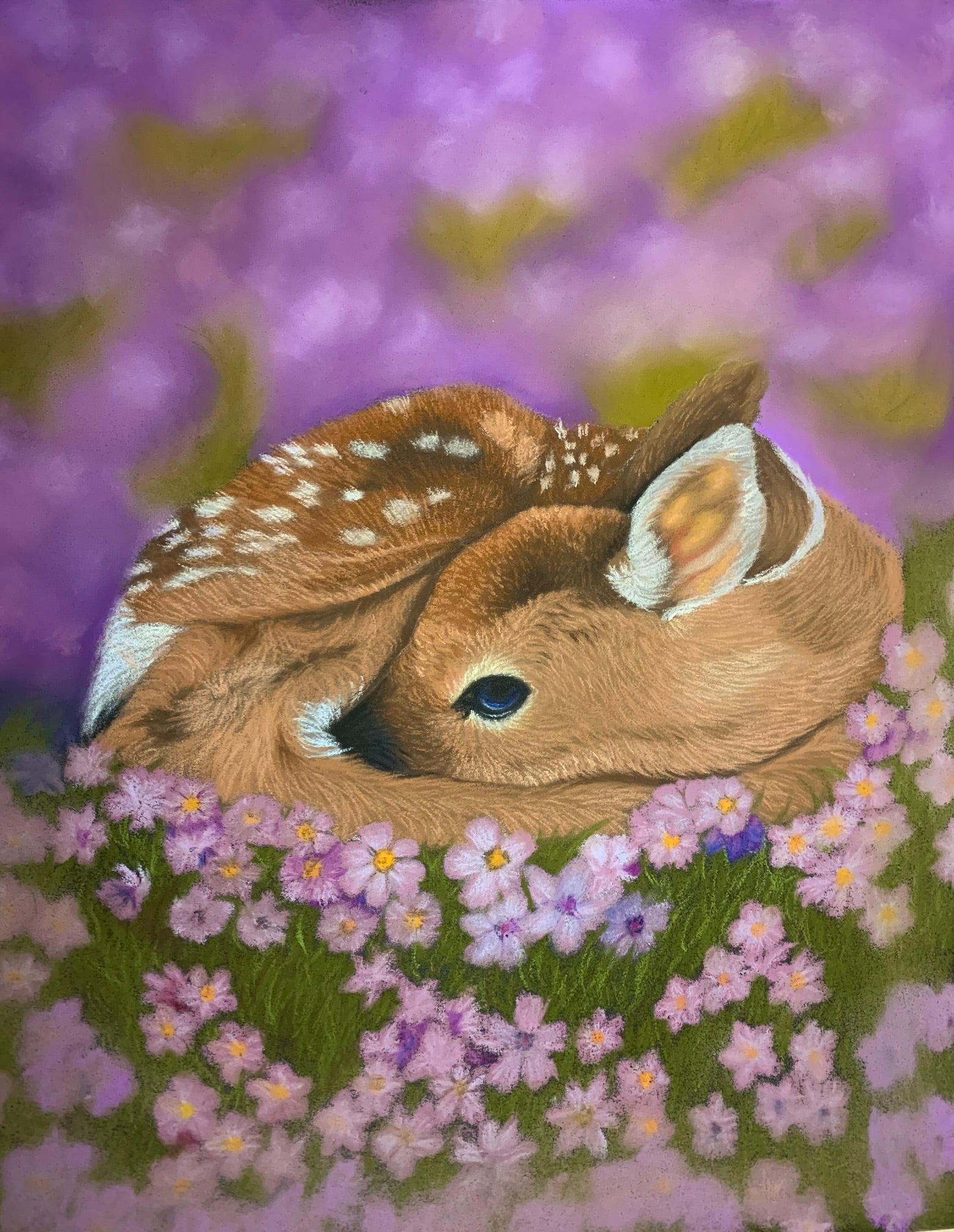 Sleeping fawn pastel drawing in a field of purple wildflowers