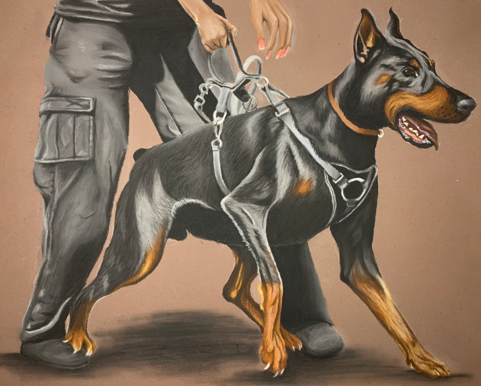 Female handler holding Doberman protection dog pastel drawing