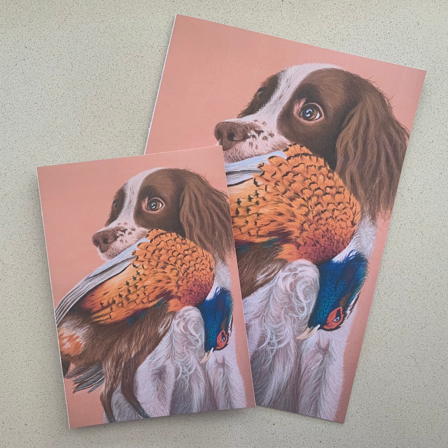 Two greeting cards with a springer spaniel and pheasant illustration