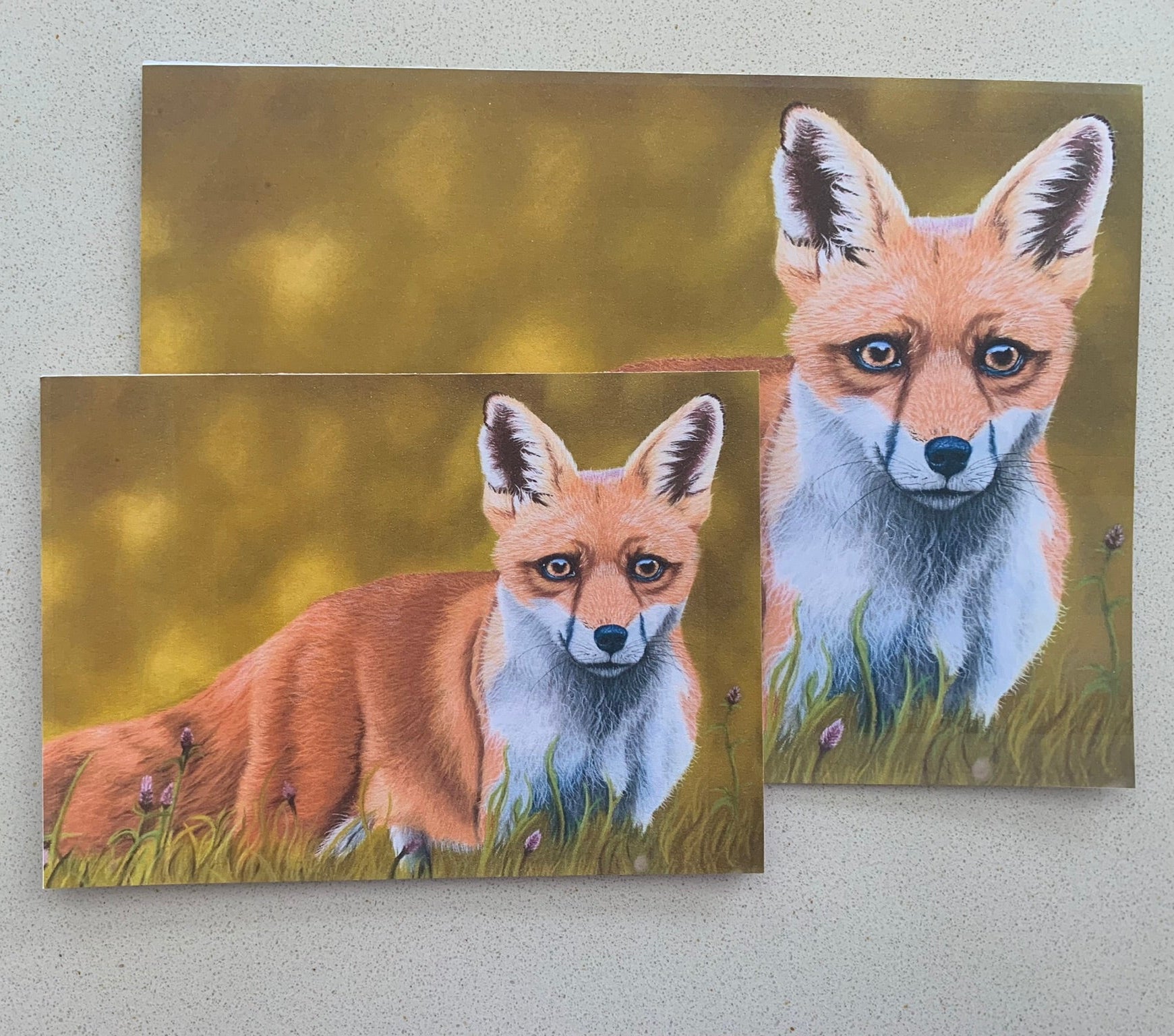 Two cards with drawings of a fox in long grass against green background