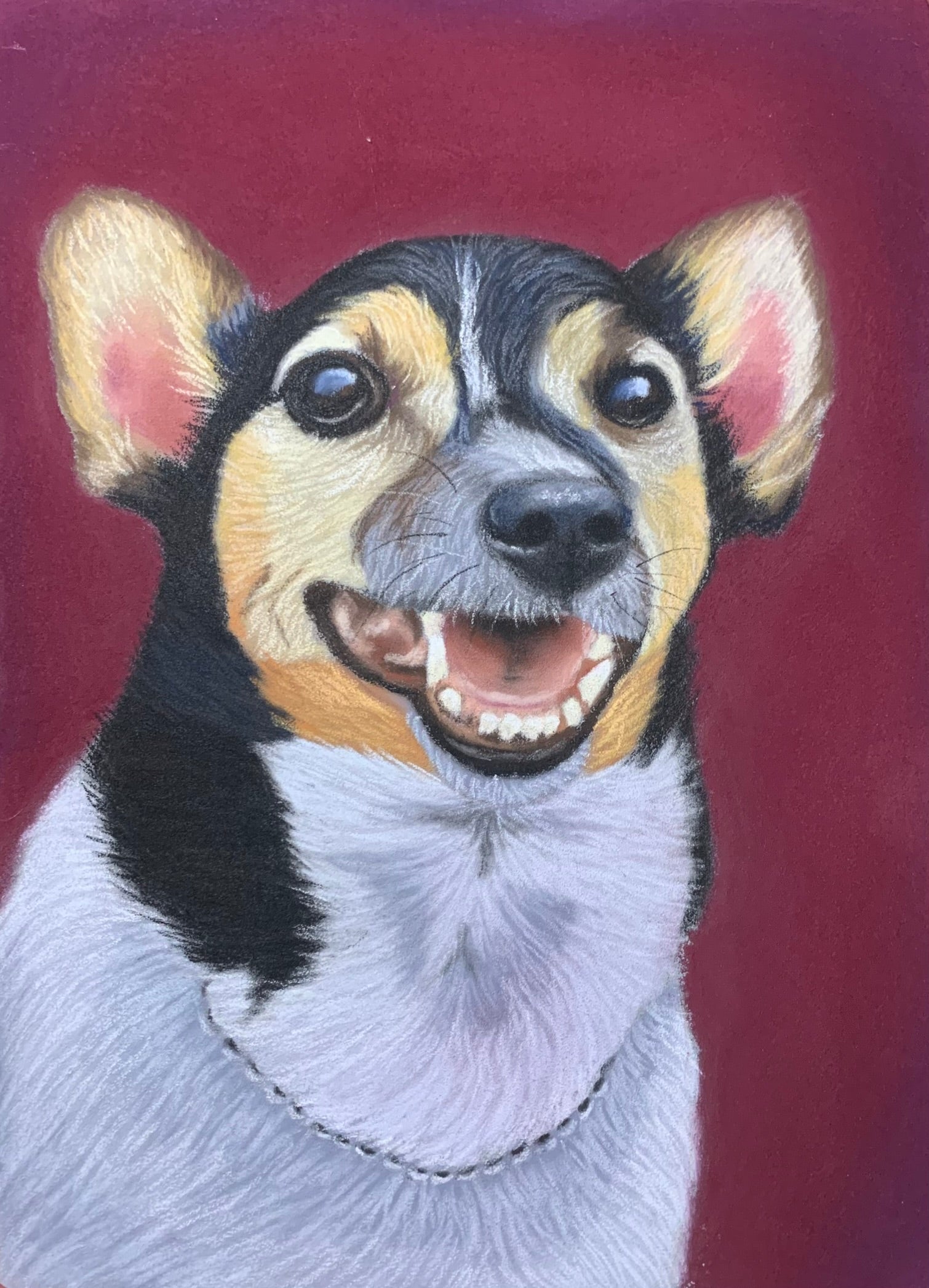 Pastel drawing of happy Jack Russell Terrier