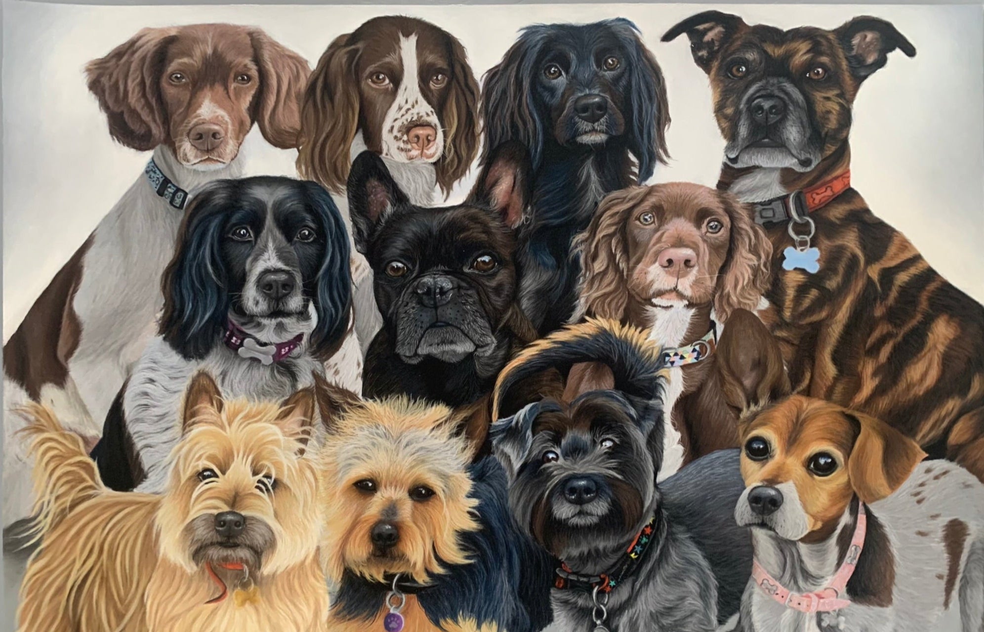 Pastel drawing of group of dogs of various sizes, breeds and colours
