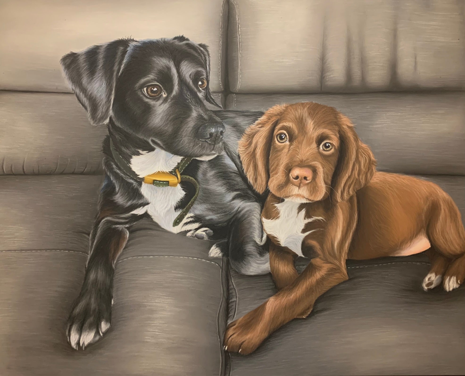 Pastel drawing of a Patterdale and Cocker Spaniel laying on a grey sofa