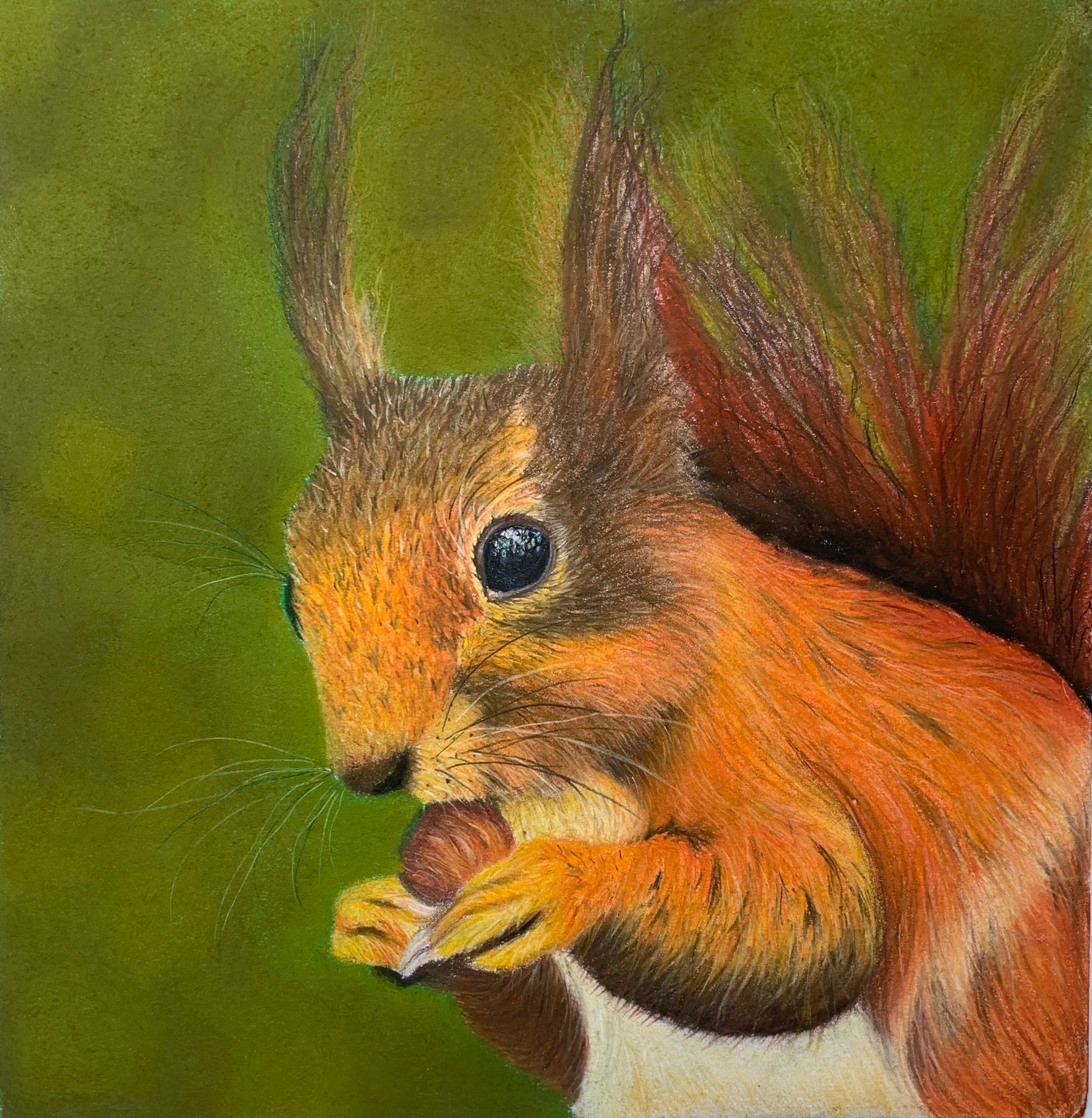 Artistic depiction of a red squirrel on a green background drawn in pastels