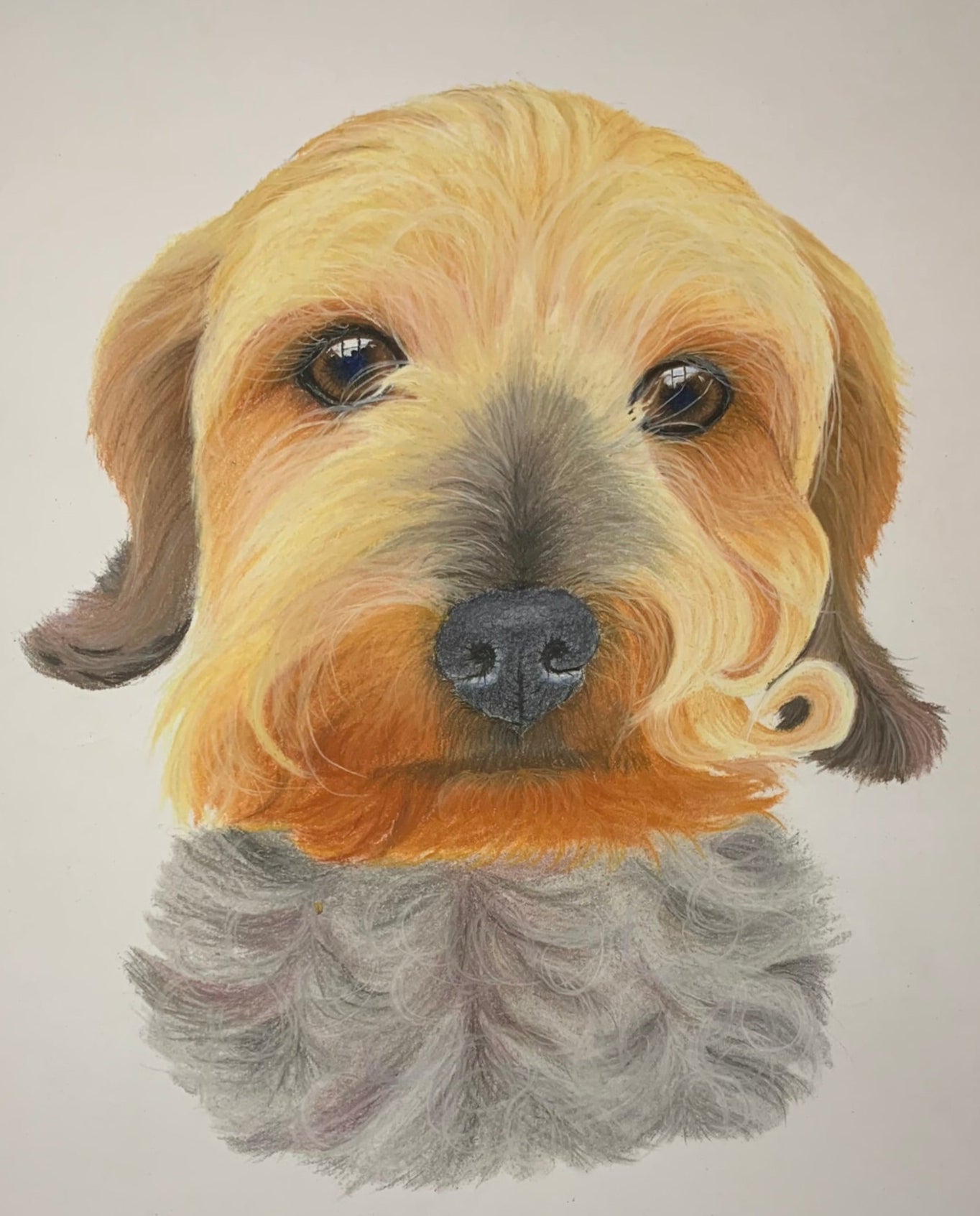 Hand drawn pastel drawing of a terrier mix breed