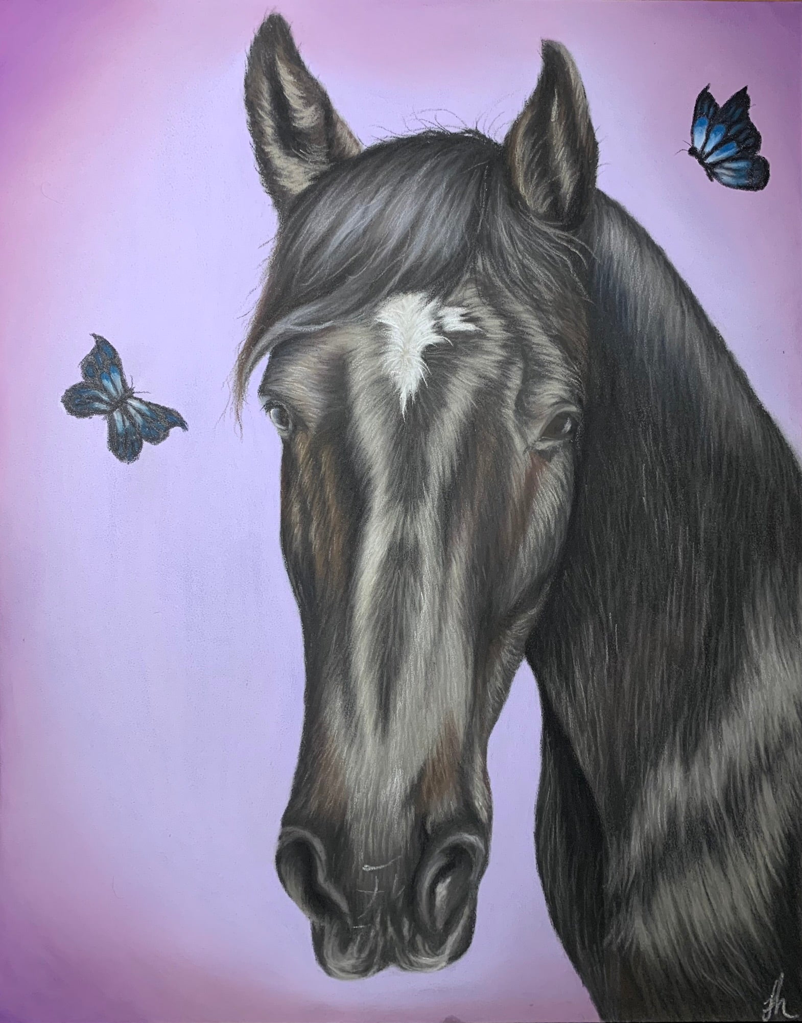 pastel drawing of black horse on a lilac background with blue butterflies