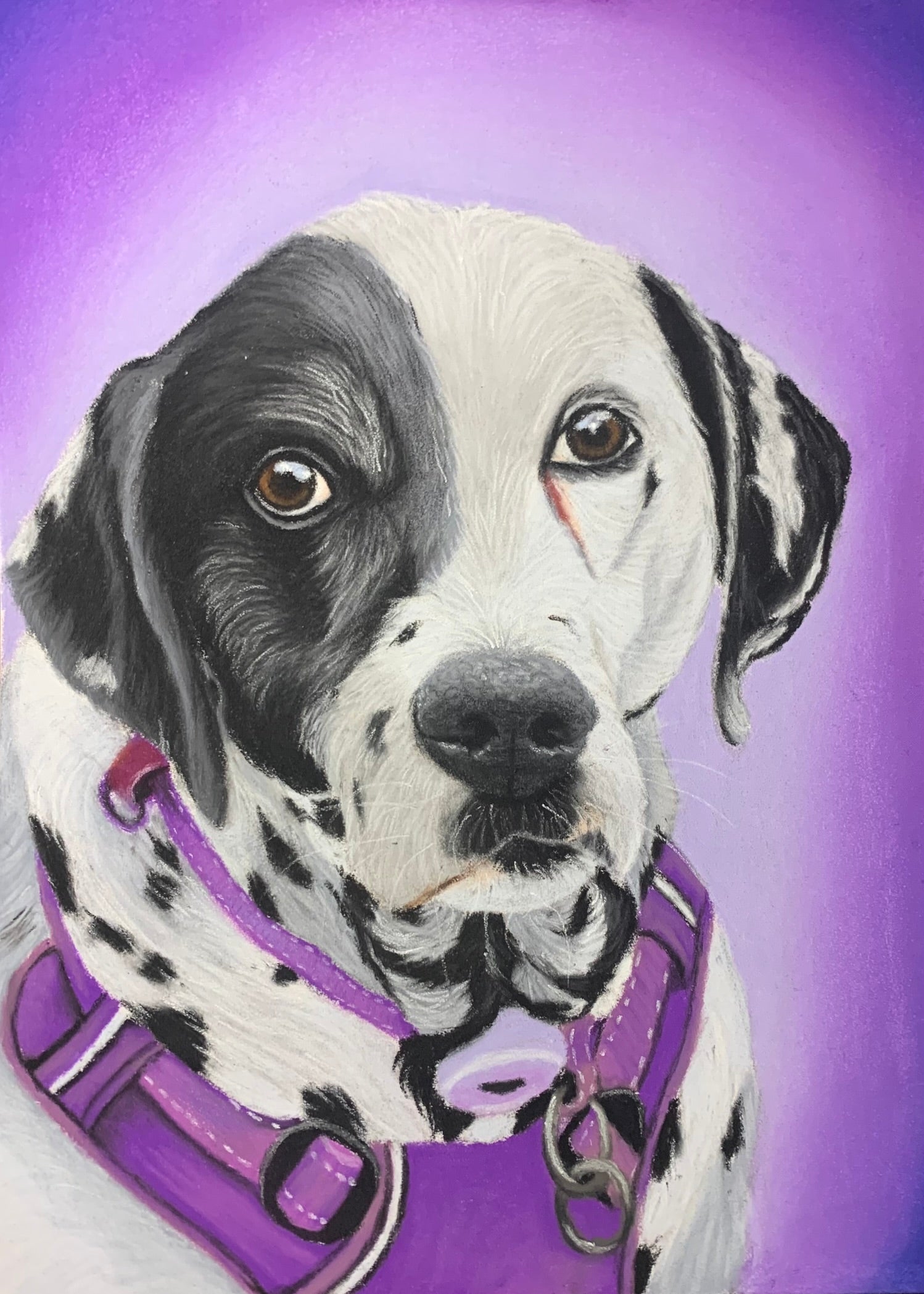 pastel drawing of a dalmatian on a lilac backgrund