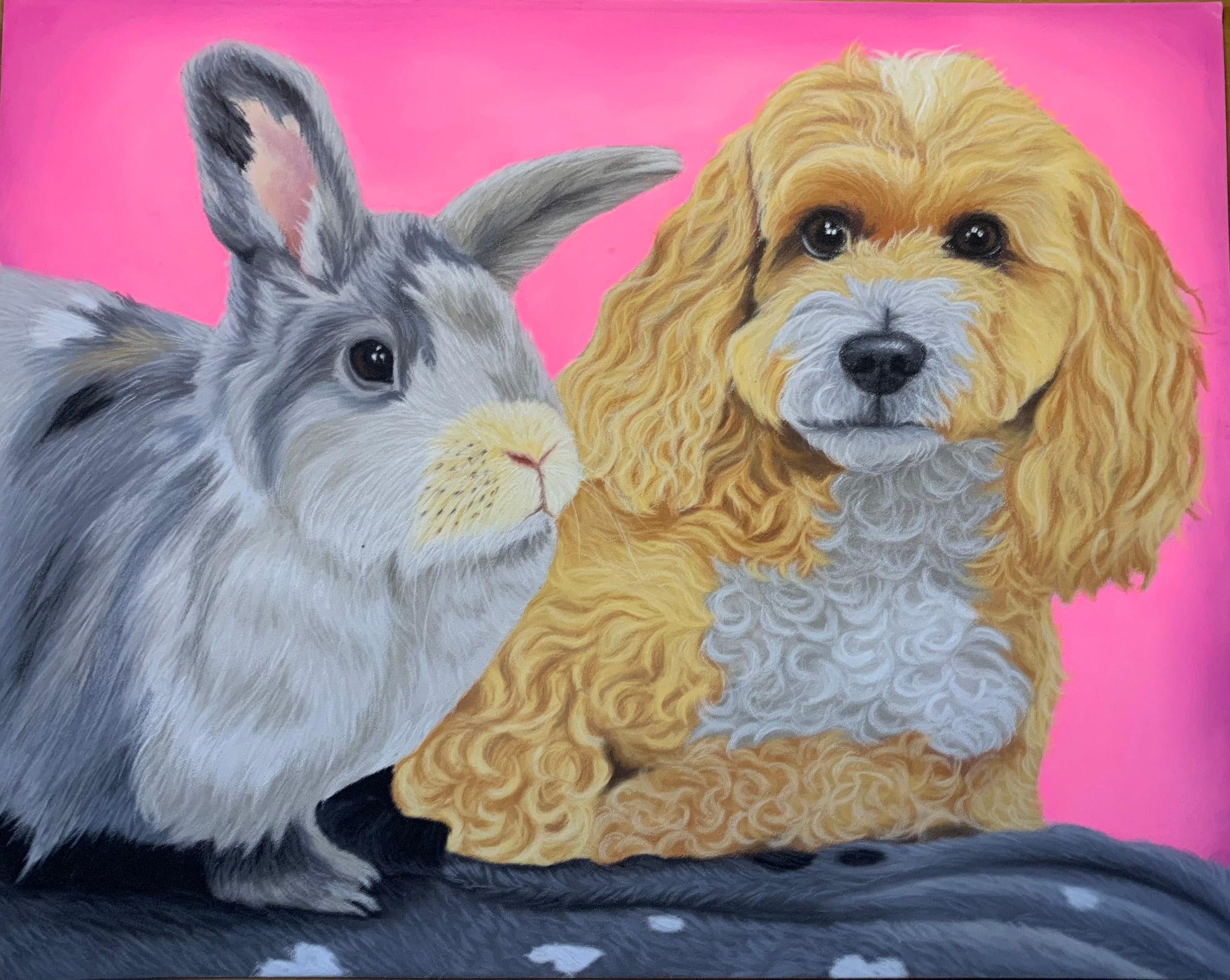 pastel drawing of cockapoo and grey rabbit on neon pink background