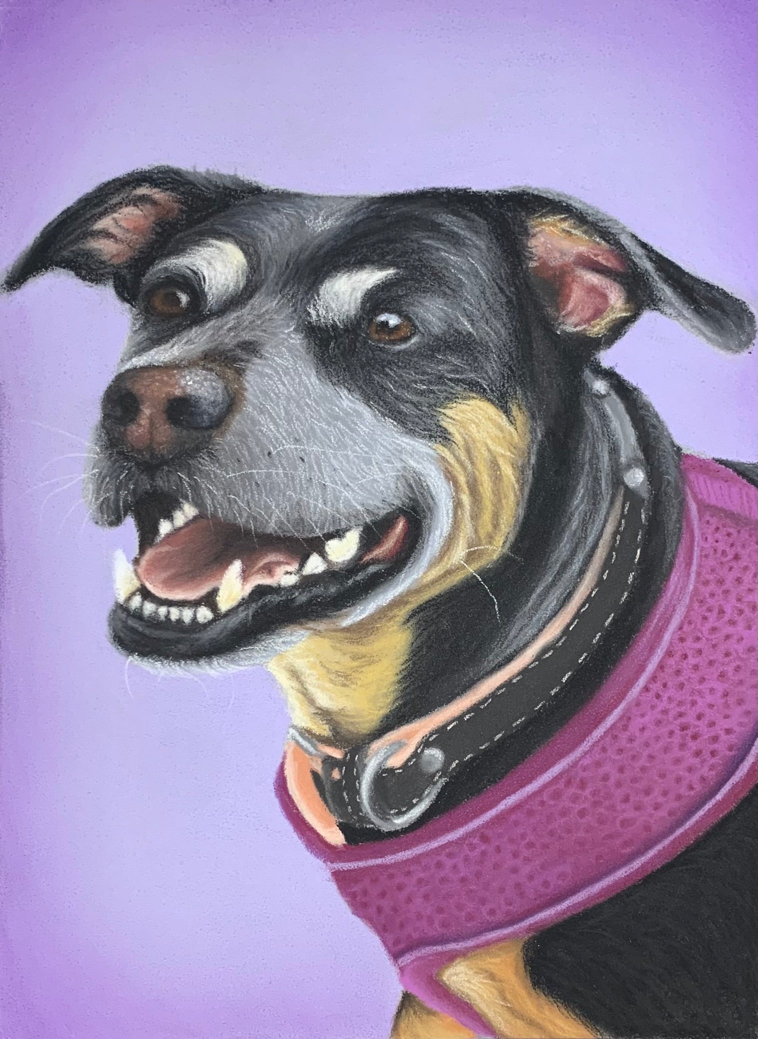 Black and tan Staffordshire Bull Terrrier pastel drawing